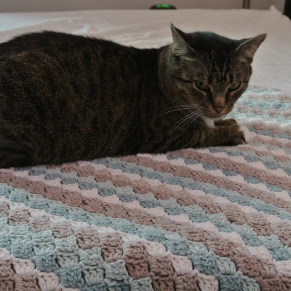 Crochet Blanket - Picture 4 of 5